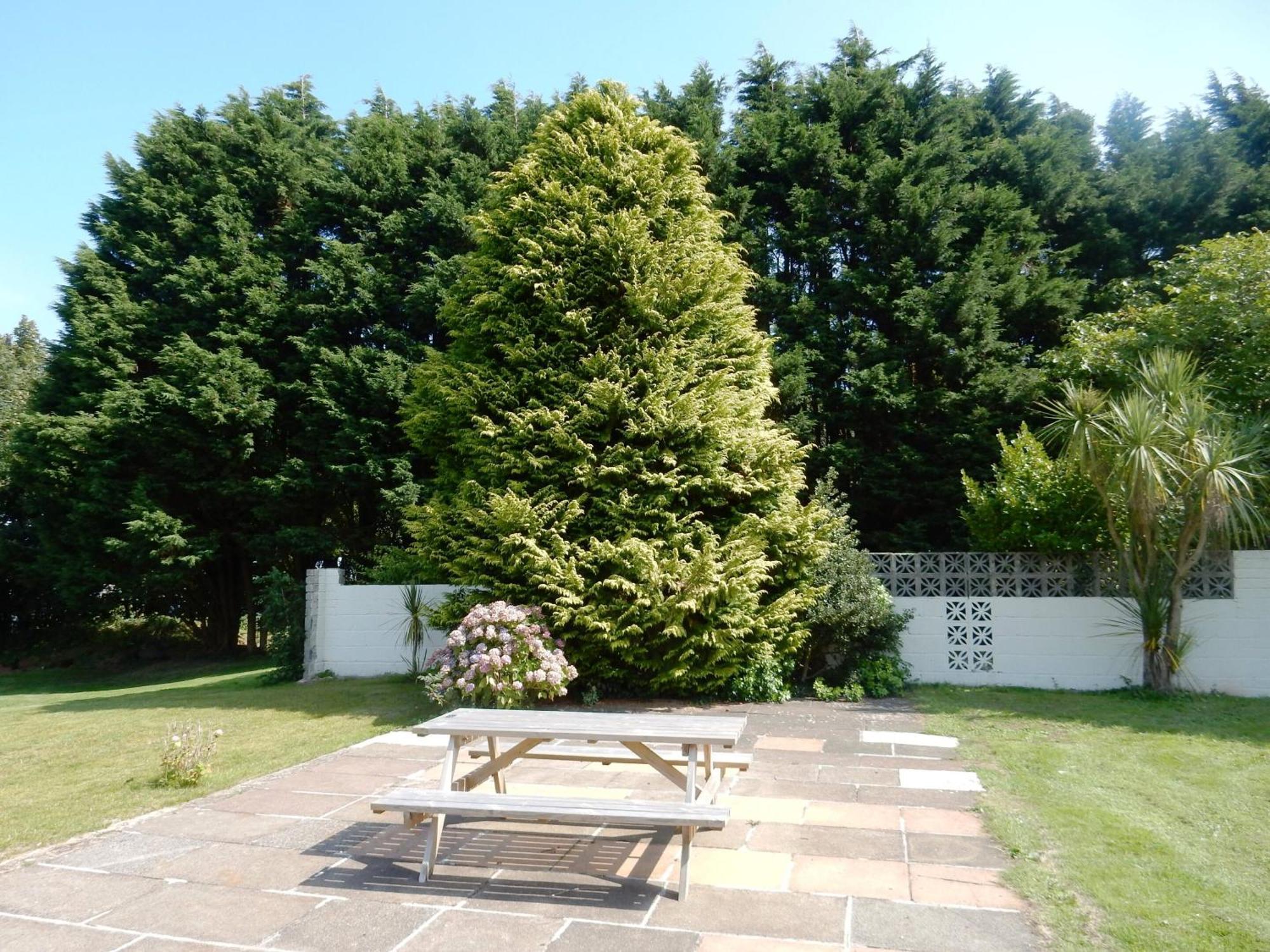 Sheena'S Dartmouth Chalets 外观 照片